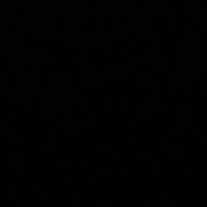 Meet your Posher, Hector